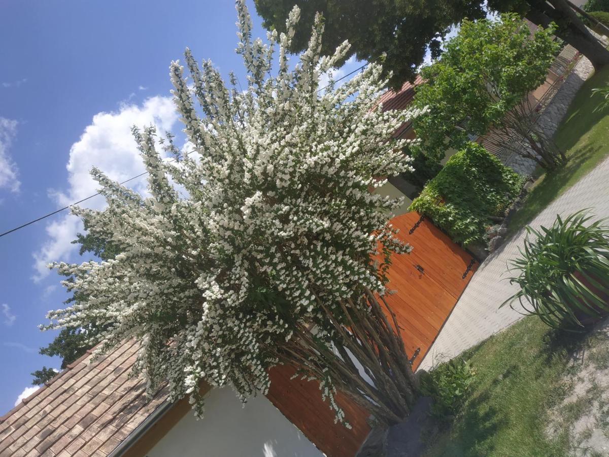 Cseresznyes Haz Lipót Dış mekan fotoğraf